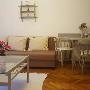 Hortenzia , Szeged Magyarország